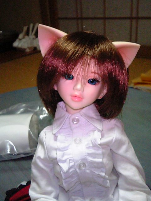b0033247_23543650.jpg