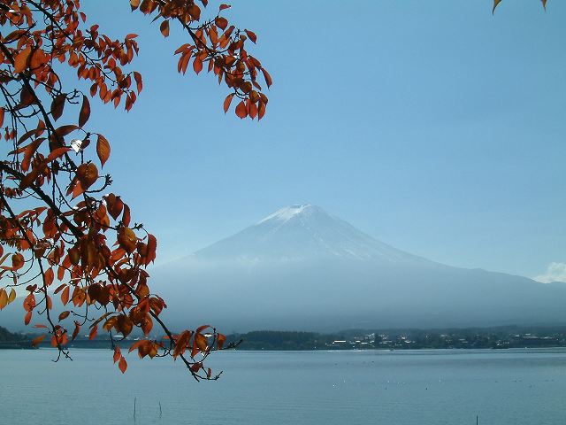 b0070657_17174179.jpg
