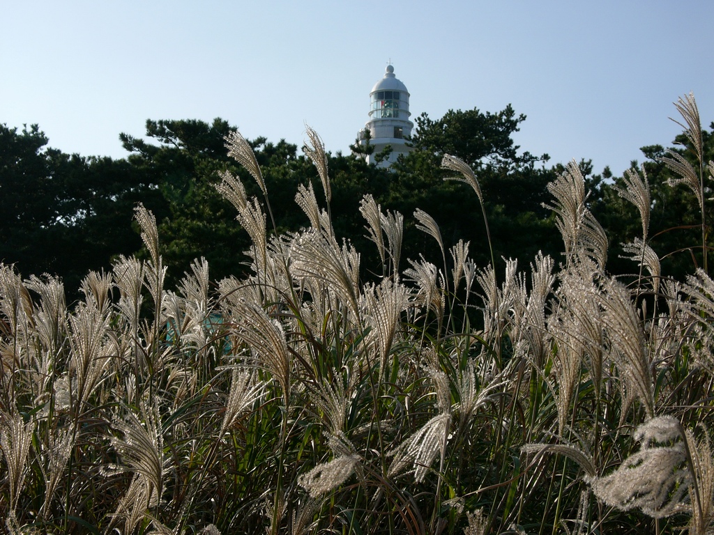 白浜灯台(LC1)_c0049062_10565255.jpg