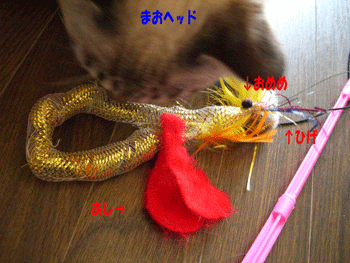 にゃんこ食事情_b0039168_12102694.gif