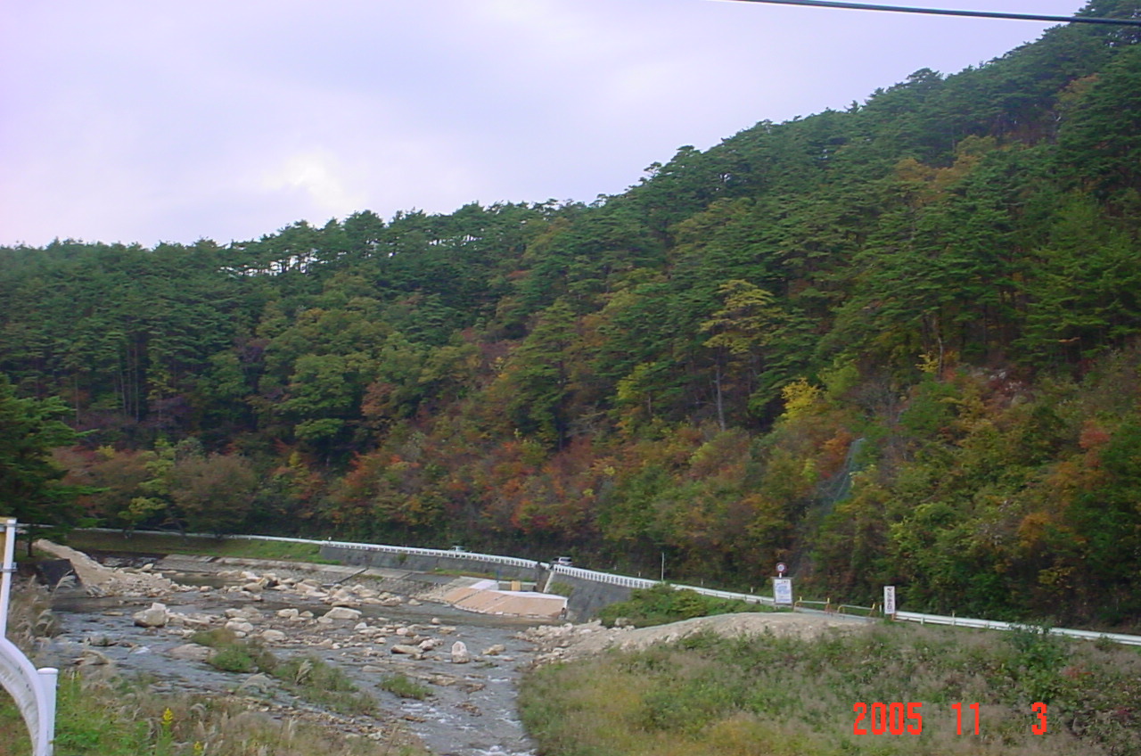 今日の川内村_d0027486_15474686.jpg