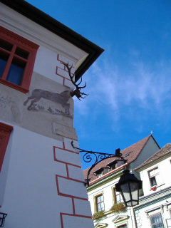 d0029596_1727251.jpg