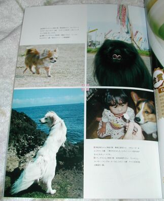 わん☆ジェニック　＆　Tail Up　　　Wangenic & TailUp Magazines_a0032004_1794181.jpg