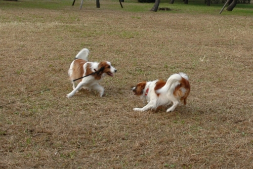 c0065512_032870.jpg