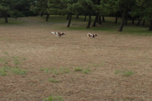 c0065512_04186.jpg