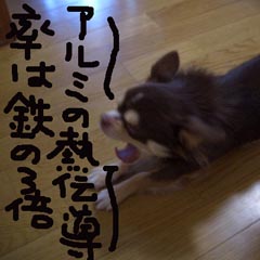 c0036617_917042.jpg