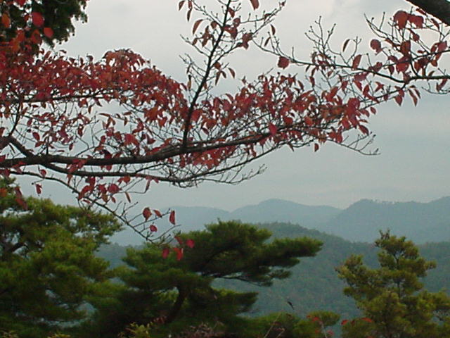 d0004627_9334354.jpg