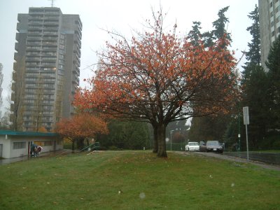 a0025444_8574432.jpg