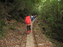 世界遺産,,屋久島縄文杉登山へ_e0082045_0534770.jpg