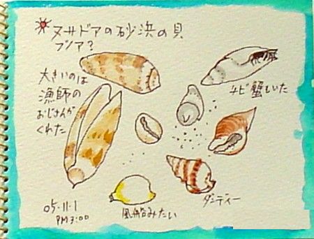 バリの貝です_e0074955_18325038.jpg
