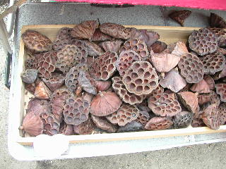 e0004756_2105790.jpg