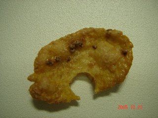 e0045284_1212997.jpg