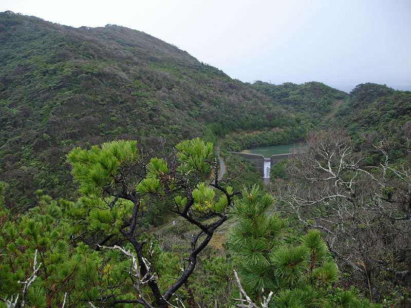 c0034787_21152122.jpg