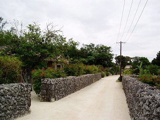 e0066099_22463427.jpg
