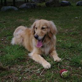 a0059000_1636117.jpg