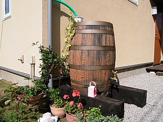 c0039501_12513311.jpg