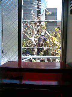 11/5 芸事2_b0068302_11372073.jpg