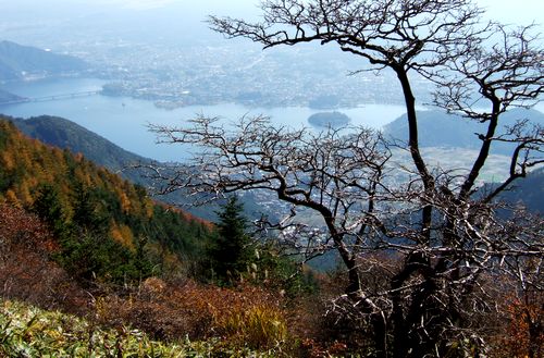 富士山展望コースを歩く_c0073016_10384676.jpg