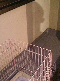 e0069433_23204224.jpg