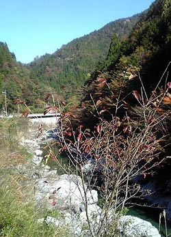 c0036138_20275526.jpg