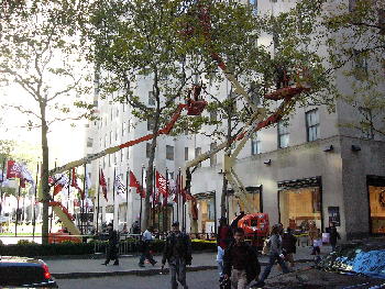 c0029649_14295.jpg