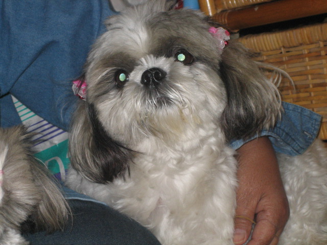 d0044249_22795.jpg