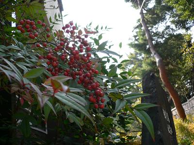 fall of KAMAKURA_a0041650_20161058.jpg