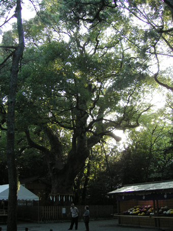 c0069552_141966.jpg