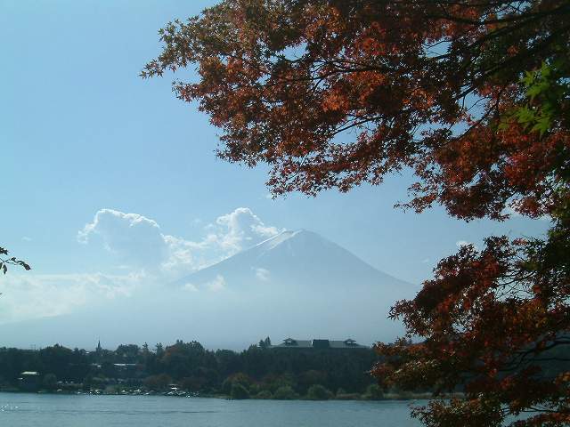 b0070657_1714128.jpg