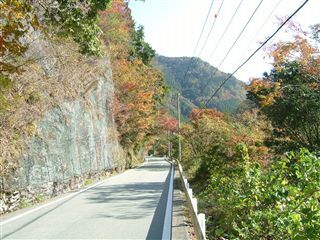 本川の紅葉_e0066772_9261077.jpg