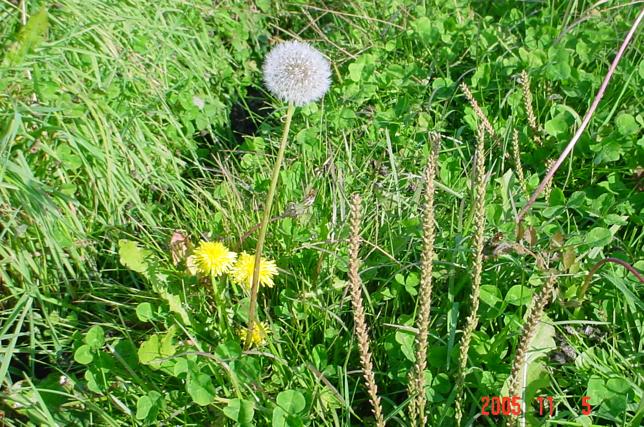 d0027486_11191944.jpg