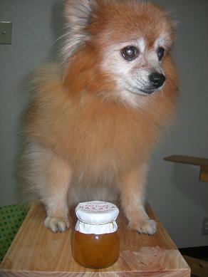 c0011501_2343896.jpg