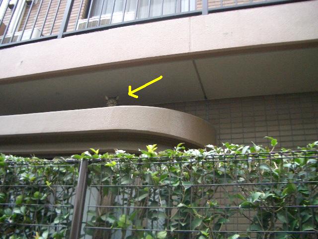 e0094407_21564428.jpg