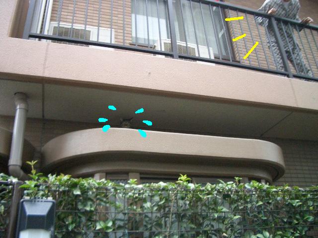 e0094407_21571581.jpg