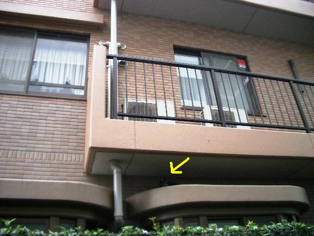 e0094407_2212926.jpg