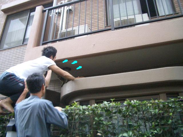 e0094407_22273979.jpg