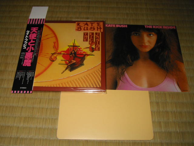 ケイト・ブッシュ ／ 天使と小悪魔 : 無駄遣いな日々