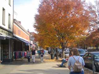 c0055212_16154310.jpg