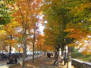 c0055212_1624596.jpg