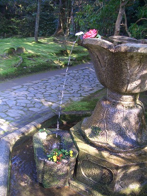 e0015828_22331946.jpg