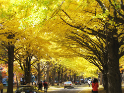 c0024729_22181399.jpg