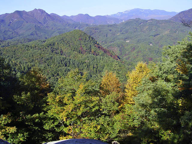 c0019930_238407.jpg