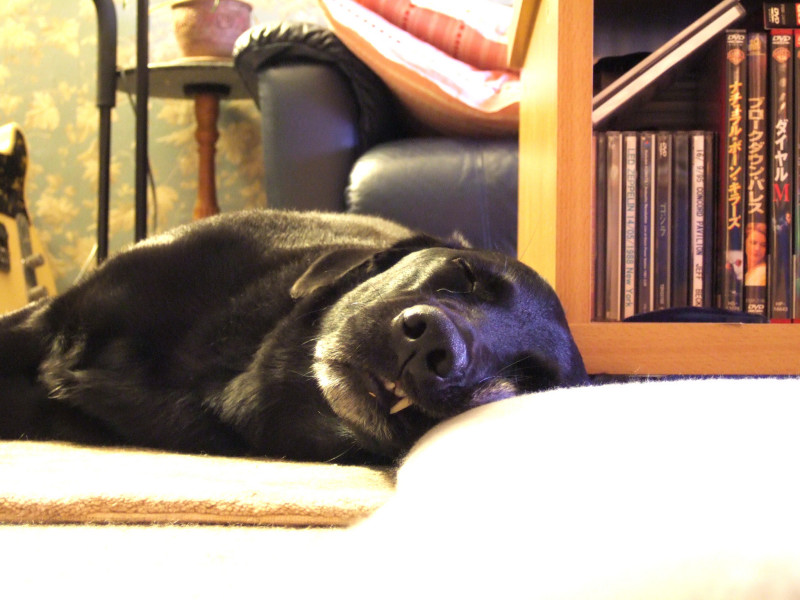 c0039145_20111583.jpg