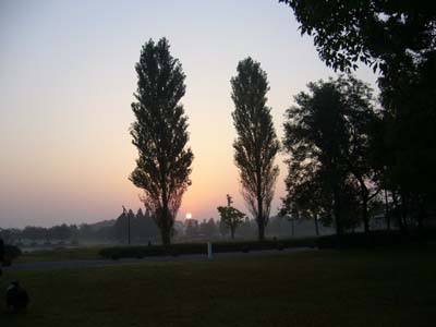 b0045357_12471570.jpg