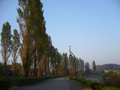 b0045357_12533651.jpg