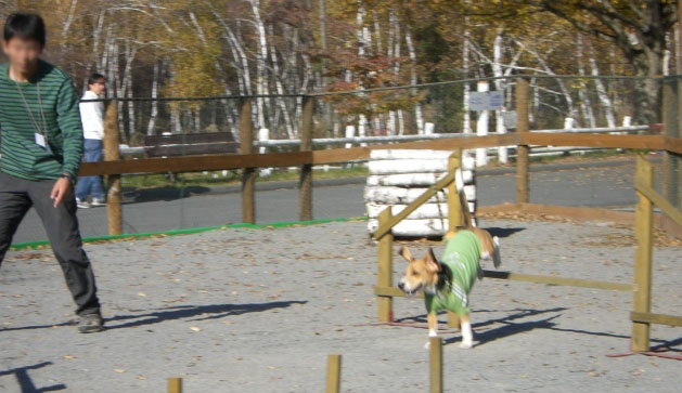 e0007060_18164535.jpg