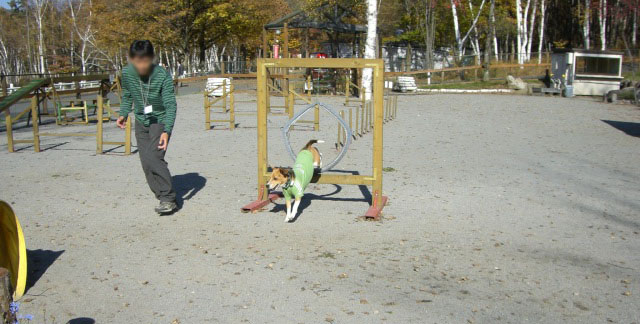 e0007060_18221077.jpg