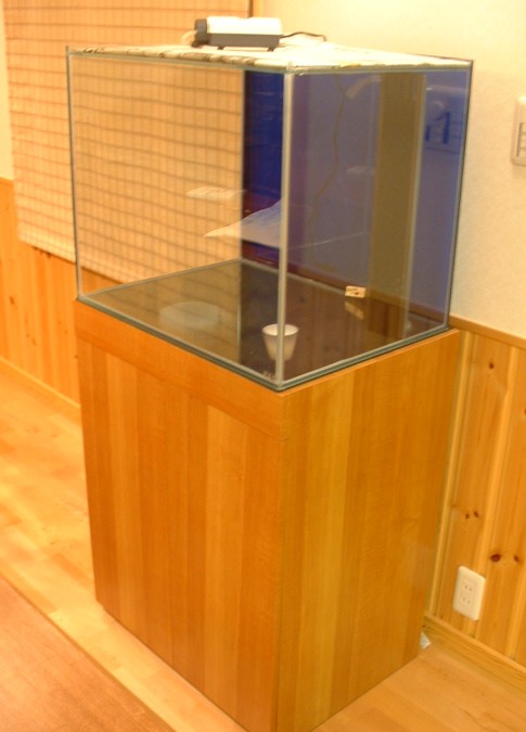 e0049877_2535519.jpg