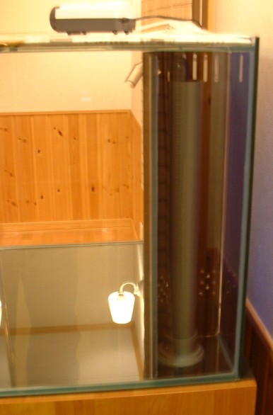 e0049877_2592884.jpg