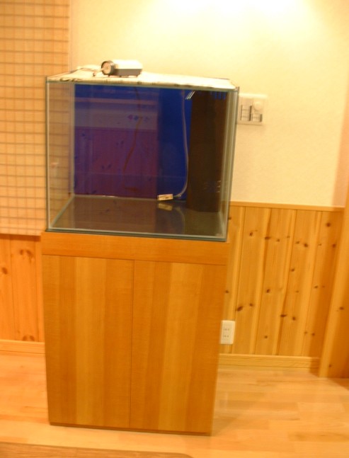 e0049877_2594588.jpg